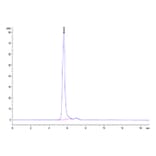 SEC-HPLC - Recombinant Mouse IFNAR1 Protein (C-terminal Human Fc Tag) (A331707) - Antibodies.com