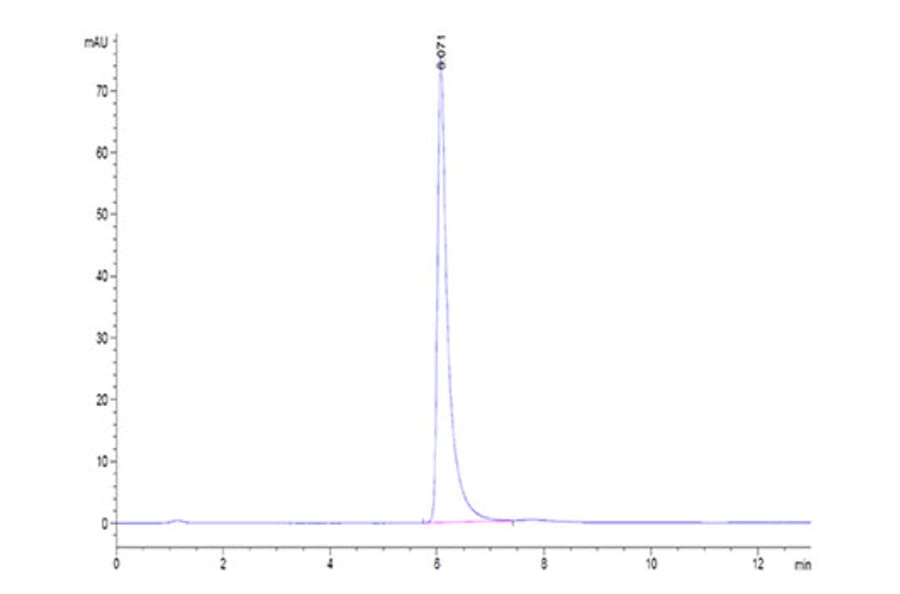 SEC-HPLC - Recombinant Human Integrin alpha V + beta 3 Protein (C-terminal His and Avi Tag) (A331709) - Antibodies.com