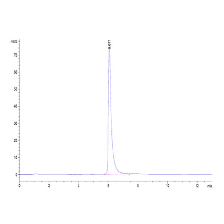 SEC-HPLC - Recombinant Human Integrin alpha V + beta 3 Protein (C-terminal His and Avi Tag) (A331709) - Antibodies.com