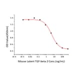 Cell Viability Assay - Recombinant Mouse Latent TGF-beta 2 Protein (N-terminal His Tag) (A331719) - Antibodies.com