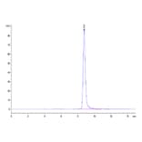 SEC-HPLC - Recombinant Rhesus macaque CD4 Protein (C-terminal His Tag) (A331722) - Antibodies.com
