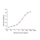 Proliferation Assay - Recombinant Mouse LIF Protein (C-terminal His and Avi Tag) (A331725) - Antibodies.com