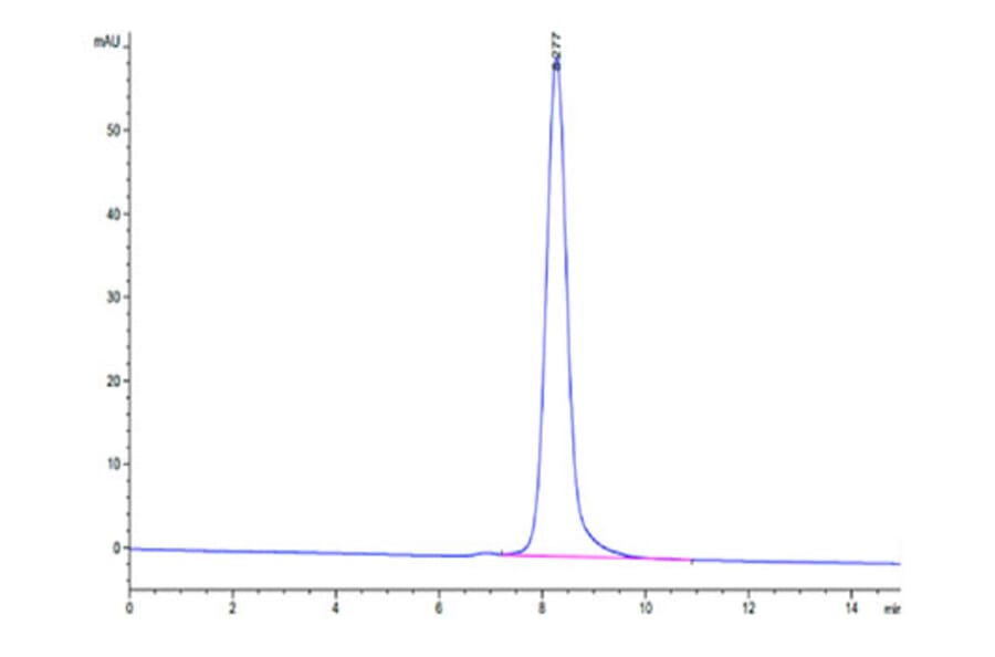 SEC-HPLC - Recombinant Cynomolgus macaque LILRA4 Protein (C-terminal His Tag) (A331728) - Antibodies.com