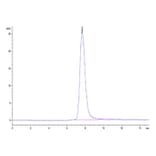 SEC-HPLC - Recombinant Rhesus macaque LILRB1 Protein (C-terminal His Tag) (A331730) - Antibodies.com