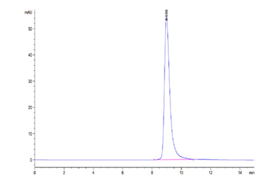 SEC-HPLC - Recombinant Cynomolgus macaque LILRB4 Protein (C-terminal His Tag) (A331732) - Antibodies.com