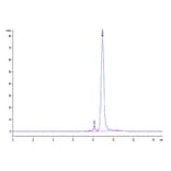 SEC-HPLC - Recombinant Human AFP + HLA-A*02:01 Protein (C-terminal His and Avi Tag) (A331735) - Antibodies.com