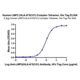 Standard Curve - Recombinant Human AFP + HLA-A*02:01 Protein (C-terminal His and Avi Tag) (A331736) - Antibodies.com
