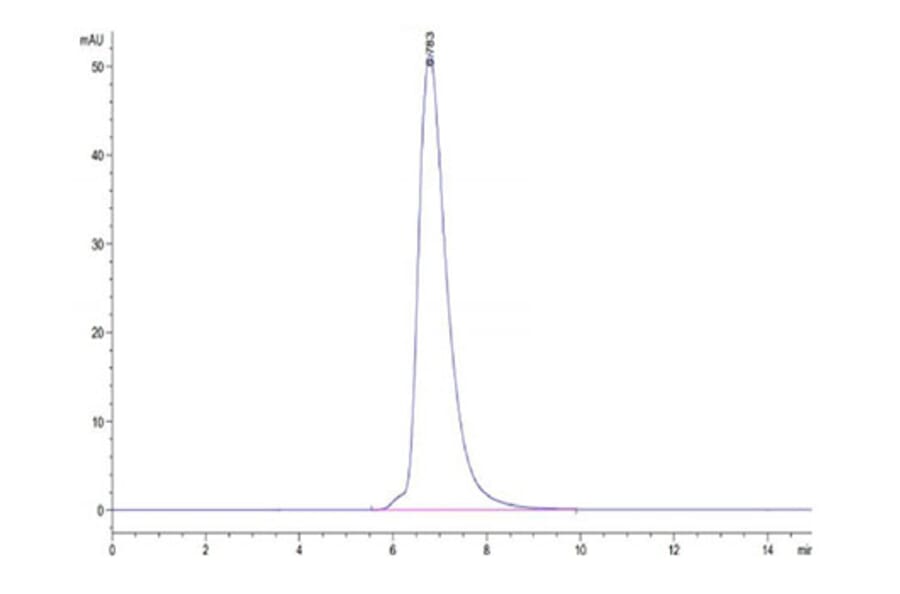 SEC-HPLC - Recombinant Human LMP2 + HLA-A*11:01 Protein (C-terminal His and Avi Tag) (A331737) - Antibodies.com