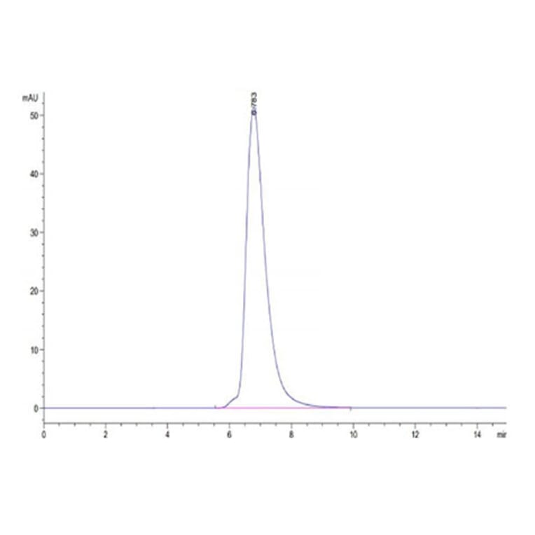 SEC-HPLC - Recombinant Human LMP2 + HLA-A*11:01 Protein (C-terminal His and Avi Tag) (A331737) - Antibodies.com