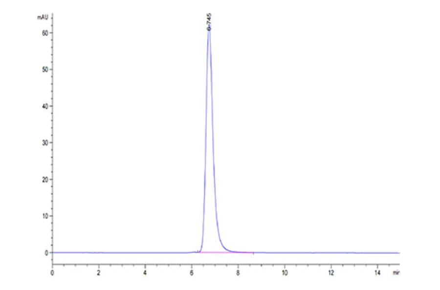 SEC-HPLC - Recombinant Human AFP + HLA-A*02:01 Protein (C-terminal His and Avi Tag) (A331744) - Antibodies.com