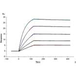 SPR Assay - Recombinant Human AFP + HLA-A*02:01 Protein (C-terminal His and Avi Tag) (A331744) - Antibodies.com
