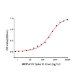 Standard Curve - Recombinant MERS-CoV Spike RBD Protein (C-terminal Mouse Fc Tag) (A331751) - Antibodies.com