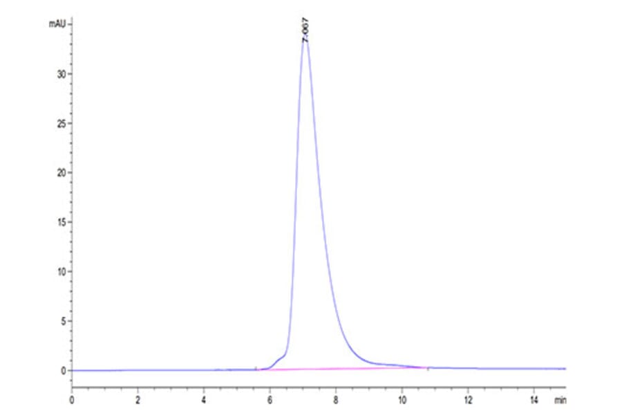 SEC-HPLC - Recombinant Human MIC-A Protein (Biotin) (C-terminal His and Avi Tag) (A331754) - Antibodies.com