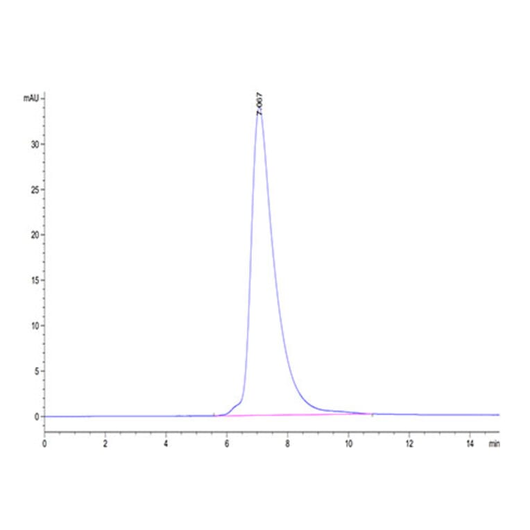 SEC-HPLC - Recombinant Human MIC-A Protein (Biotin) (C-terminal His and Avi Tag) (A331754) - Antibodies.com
