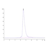SEC-HPLC - Recombinant Human MIC-A Protein (Biotin) (C-terminal His and Avi Tag) (A331754) - Antibodies.com