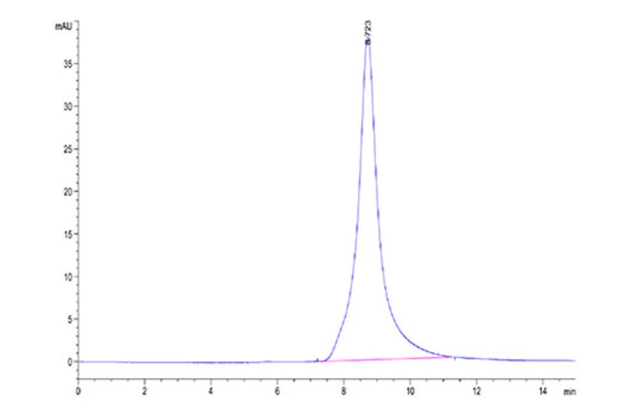 SEC-HPLC - Recombinant Mouse CD10 Protein (N-terminal His Tag) (A331756) - Antibodies.com
