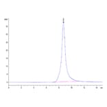 SEC-HPLC - Recombinant Mouse CD10 Protein (N-terminal His Tag) (A331756) - Antibodies.com