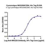 Standard Curve - Recombinant Cynomolgus macaque NKG2A + KLRD1 Protein (C-terminal His and Flag Tag) (A331770) - Antibodies.com
