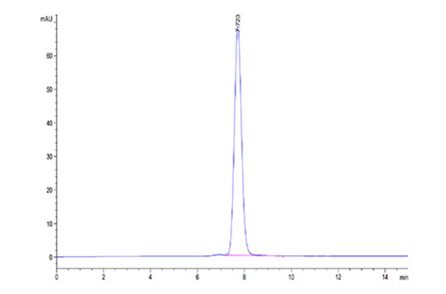 SEC-HPLC - Recombinant Mouse NKG2D Protein (N-terminal Human Fc Tag) (A331771) - Antibodies.com