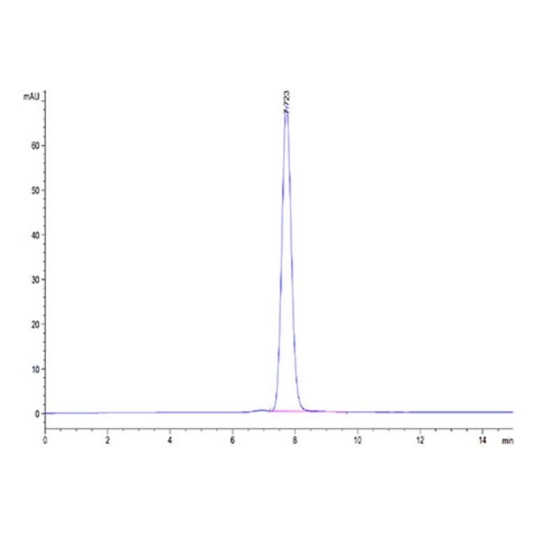 SEC-HPLC - Recombinant Mouse NKG2D Protein (N-terminal Human Fc Tag) (A331771) - Antibodies.com