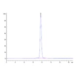 SEC-HPLC - Recombinant Mouse NKG2D Protein (N-terminal Human Fc Tag) (A331771) - Antibodies.com