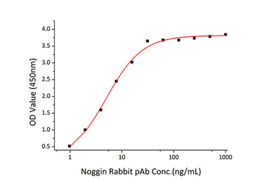 Standard Curve - Recombinant Mouse Noggin Protein (C-terminal His Tag) (A331774) - Antibodies.com