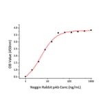Standard Curve - Recombinant Mouse Noggin Protein (C-terminal His Tag) (A331774) - Antibodies.com
