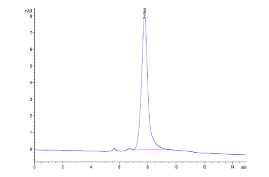 SEC-HPLC - Recombinant Mouse Osteopontin Protein (C-terminal His Tag) (A331781) - Antibodies.com