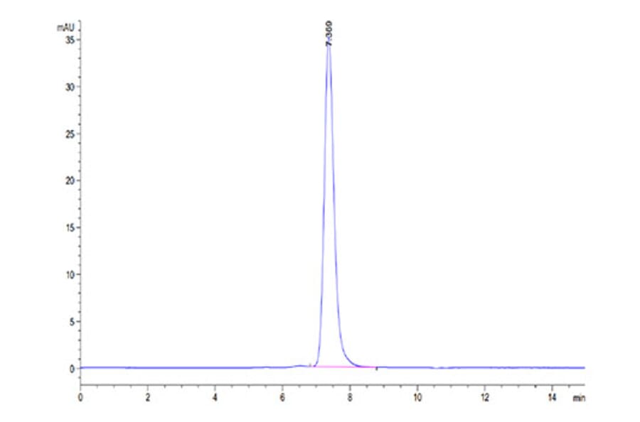 SEC-HPLC - Recombinant Cynomolgus macaque PD1 Protein (C-terminal Human Fc Tag) (A331786) - Antibodies.com