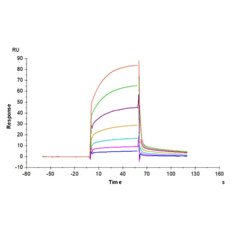 SPR Assay - Recombinant Cynomolgus macaque PD1 Protein (C-terminal Human Fc Tag) (A331786) - Antibodies.com