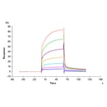 SPR Assay - Recombinant Cynomolgus macaque PD1 Protein (C-terminal Human Fc Tag) (A331786) - Antibodies.com