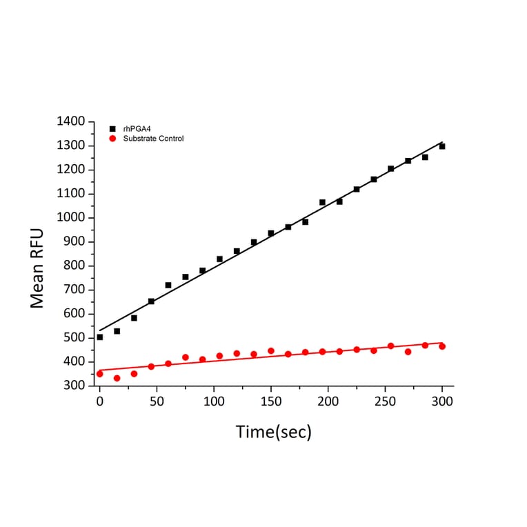 Fluorogenic Peptide Cleavage Assay - Recombinant Human PGA4 Protein (C-terminal His Tag) (A331793) - Antibodies.com
