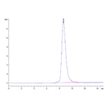 SEC-HPLC - Recombinant Mouse Progranulin Protein (C-terminal His Tag) (A331800) - Antibodies.com