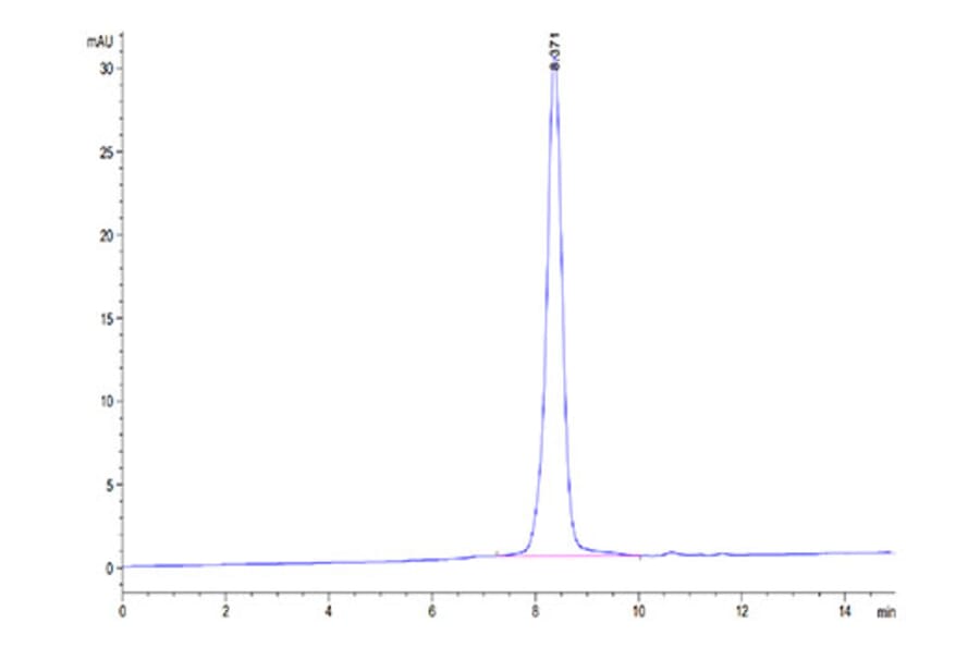 SEC-HPLC - Recombinant Rhesus macaque PVR Protein (C-terminal His Tag) (A331807) - Antibodies.com
