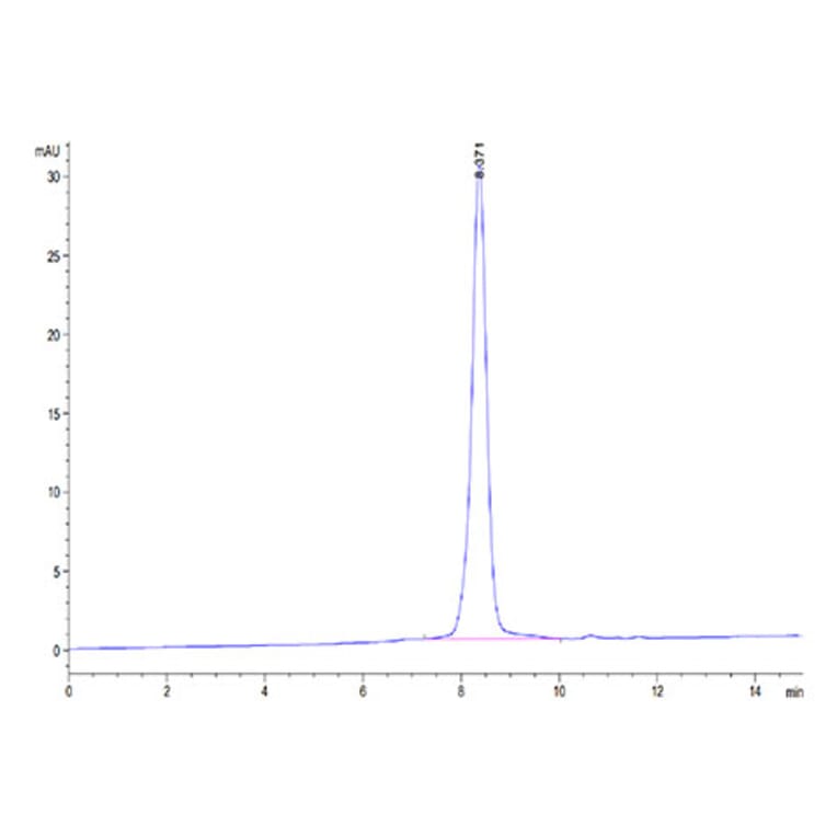 SEC-HPLC - Recombinant Rhesus macaque PVR Protein (C-terminal His Tag) (A331807) - Antibodies.com