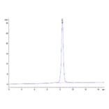 SEC-HPLC - Recombinant Rhesus macaque PVR Protein (C-terminal His Tag) (A331807) - Antibodies.com