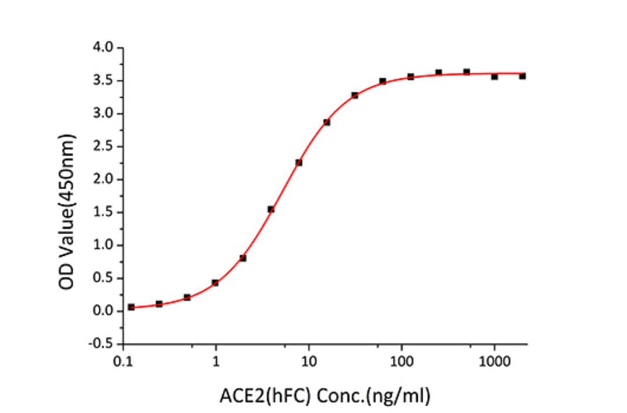 Standard Curve - Recombinant SARS-CoV Spike RBD Protein (C-terminal His Tag) (A331815) - Antibodies.com