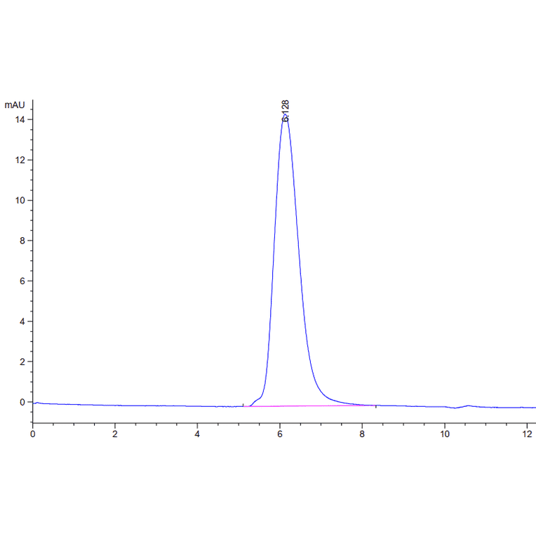 SEC-HPLC - Recombinant SARS-CoV Spike RBD Protein (C-terminal His and Avi Tag) (A331817) - Antibodies.com