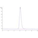 SEC-HPLC - Recombinant SARS-CoV Spike RBD Protein (C-terminal His and Avi Tag) (A331817) - Antibodies.com