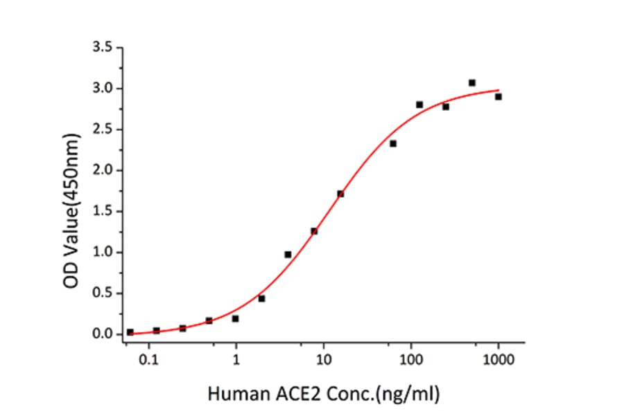 Standard Curve - Recombinant SARS-CoV Spike S1 Protein (C-terminal His Tag) (A331819) - Antibodies.com