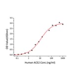 Standard Curve - Recombinant SARS-CoV Spike S1 Protein (C-terminal His Tag) (A331819) - Antibodies.com