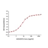 Standard Curve - Recombinant SARS-CoV-2 Spike RBD Protein (C-terminal His and Avi Tag) (A331822) - Antibodies.com