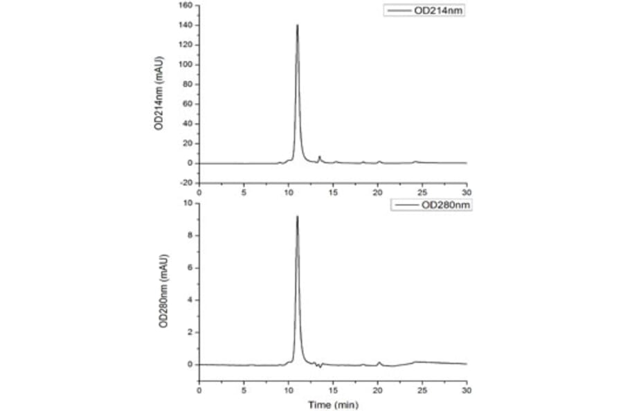 SEC-HPLC - Recombinant SARS-CoV-2 Spike RBD Protein (C-terminal His and Avi Tag) (A331823) - Antibodies.com