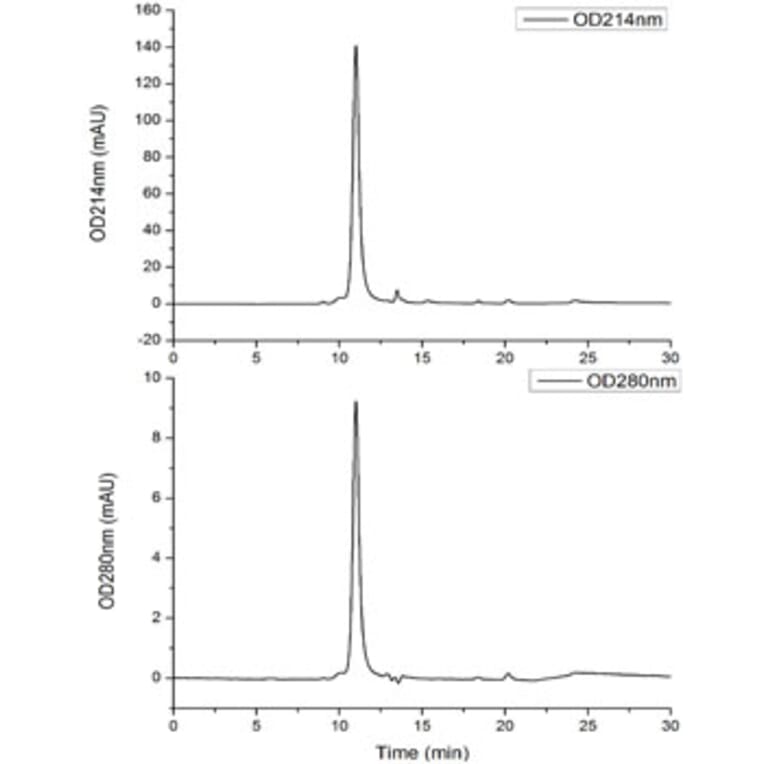 SEC-HPLC - Recombinant SARS-CoV-2 Spike RBD Protein (C-terminal His and Avi Tag) (A331823) - Antibodies.com