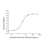 Standard Curve - Recombinant SARS-CoV-2 Spike RBD Protein (C-terminal His and Avi Tag) (A331823) - Antibodies.com