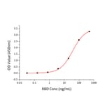 Standard Curve - Recombinant SARS-CoV-2 Spike RBD Protein (C-terminal His Tag) (A331824) - Antibodies.com