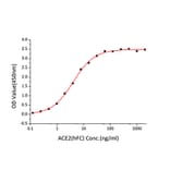 Standard Curve - Recombinant SARS-CoV-2 Spike RBD Protein (C-terminal His Tag) (A331825) - Antibodies.com