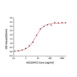 Standard Curve - Recombinant SARS-CoV-2 Spike RBD Protein (C-terminal His Tag) (A331829) - Antibodies.com