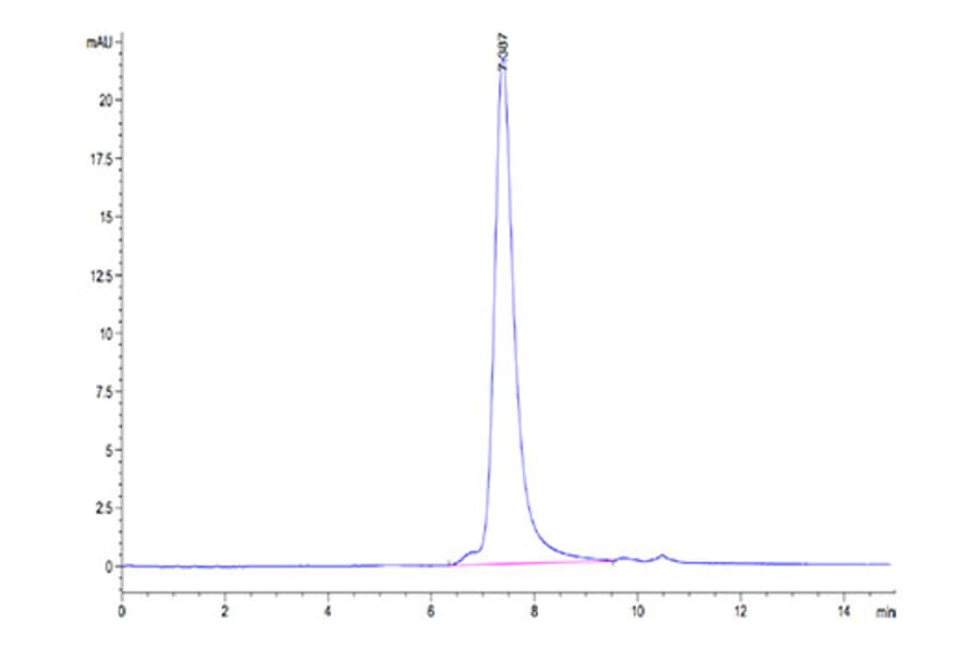 SEC-HPLC - Recombinant SARS-CoV-2 Spike RBD Protein (C-terminal His and Avi Tag) (A331831) - Antibodies.com
