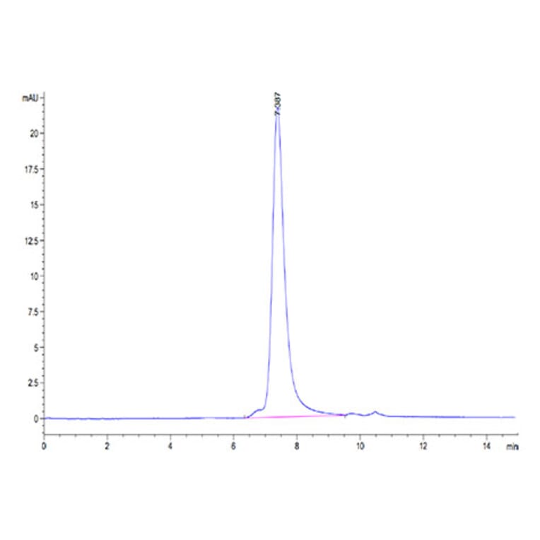 SEC-HPLC - Recombinant SARS-CoV-2 Spike RBD Protein (C-terminal His and Avi Tag) (A331831) - Antibodies.com